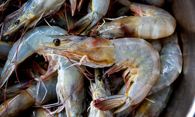 Closeup fresh shrimps on top view. It's a raw material for cook.