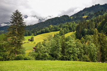 landscape near Ringoldingen village. Canton of Bern. Switzerland