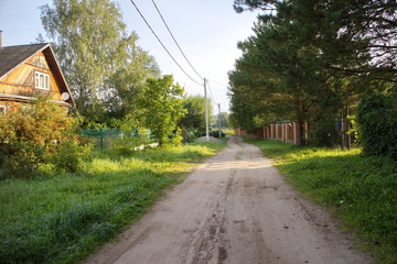 Rural country road in summer morning