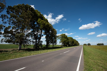 Fototapeta premium Road lane