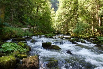 waterfall in forest