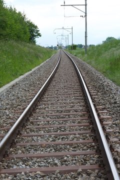railway in forest