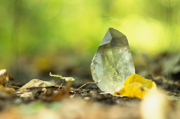 Quartz crystal on the background of autumn foliage. Beautiful gem chalcedony