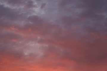 Beautiful pink sunset in summer city clouds romantic