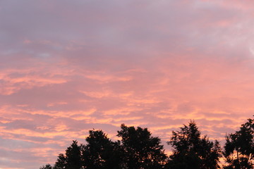 Beautiful pink sunset in summer city clouds trees