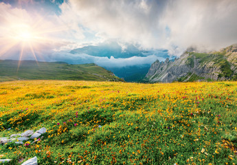 Obraz premium Colorful summer scene in the National Park Tre Cime De Lavaredo