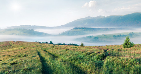 Bright morning landscape of mountain countryside with abandoned road. Sunny summer panorama of Carpathians, Ukraine, Europe. Beauty of nature concept background. Instagram filter toned.