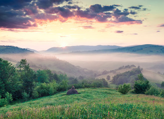 Fabulous summer sunrise in Carpathian mountain. First sunlight glowing foggy mountain hills,...