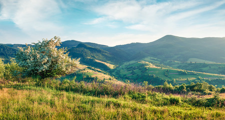 Sunny morning view of Carpathian mountain. Picturesque summer panorama of mountain hills gloving the last sunlight, rika village location, Ukraine, Europe. Instagram filter toned.