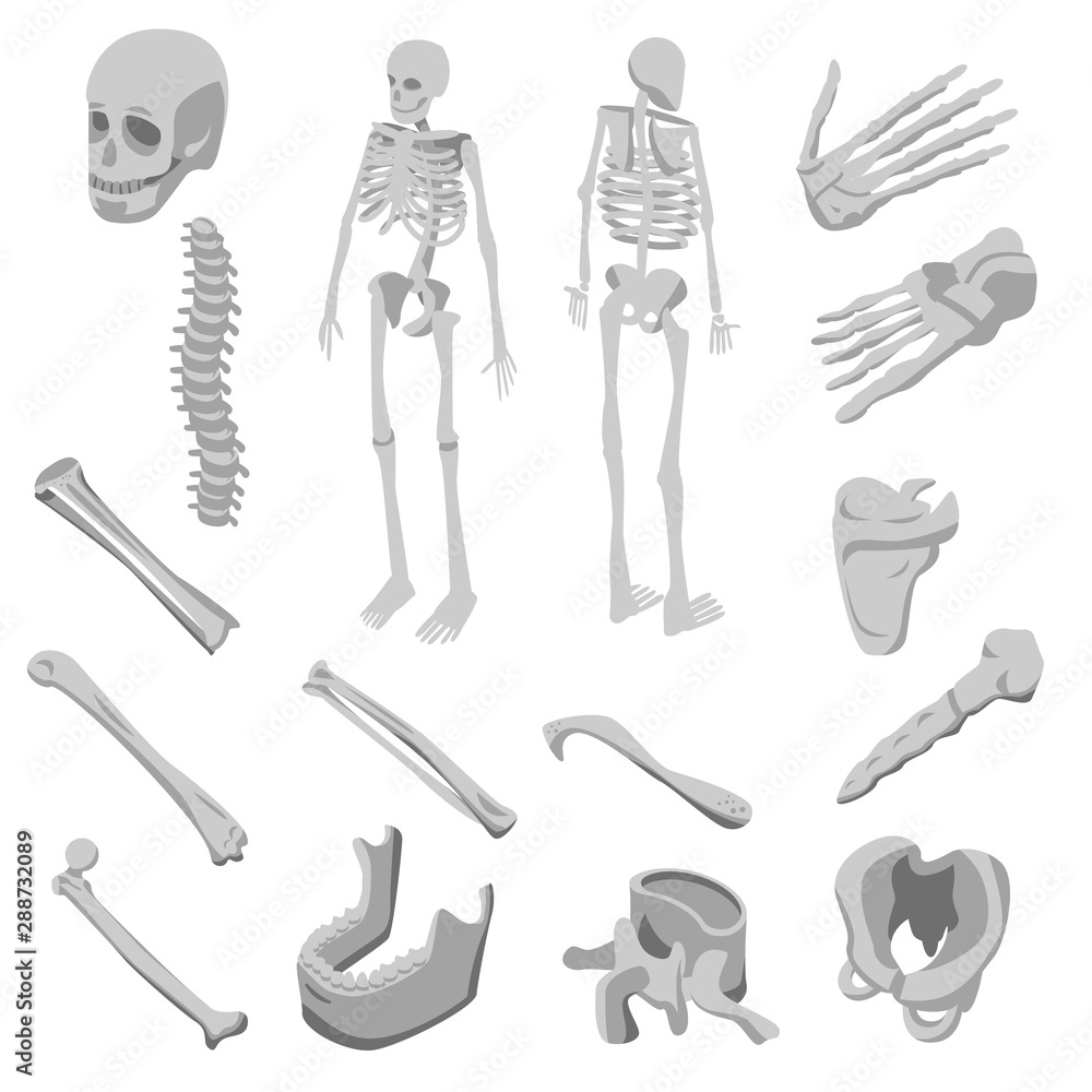 Poster skeleton icons set. isometric set of skeleton vector icons for web design isolated on white backgrou