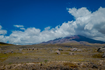 Cotopaxi National Park in Ecuador, in a summer morning.