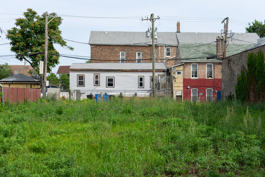 Vacant Lot with Overgrown Plants in Pilsen Chicago