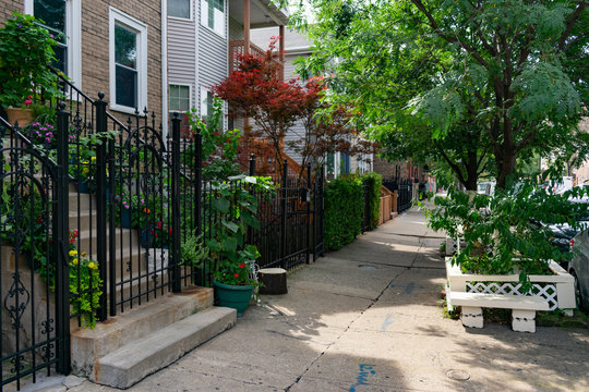 Beautiful Sidewalk Scene in front of Old Homes and Plants in Pilsen Chicago
