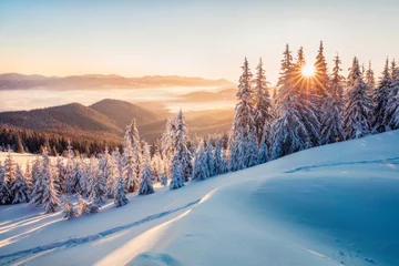  Indrukwekkende winterochtend in de Karpaten met besneeuwde sparren. Kleurrijke openluchtscène, het concept van de Gelukkig Nieuwjaarviering. Post-bewerkte foto in artistieke stijl. © Andrew Mayovskyy