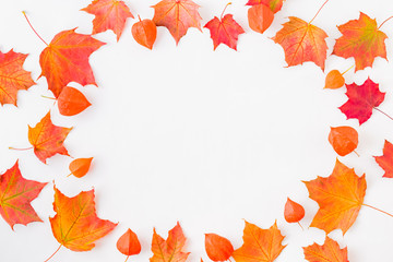 Flat lay frame with colorful autumn leaves on a white background