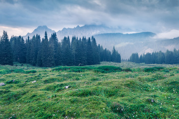 Gloomy summer scene of italian Alps. Picturesque morning scene of mountain valley, Vigo Di Cadore village location, Italy, Europe. Beauty of nature concept background.