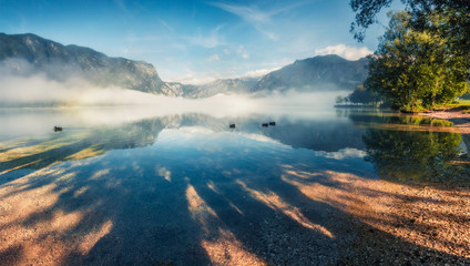 First sunlight glowing surface of the Bohinj lake in Triglav national park. Misty summer morning in Julian Alps,  Slovenia, Europe. Beauty of nature concept background. Orton Effect.