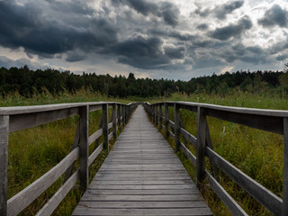 wooden footbridge through the forest. Dark storm clouds herald the coming storm