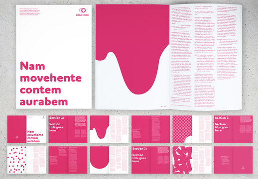 Pink Booklet Layout with Graphic Elements
