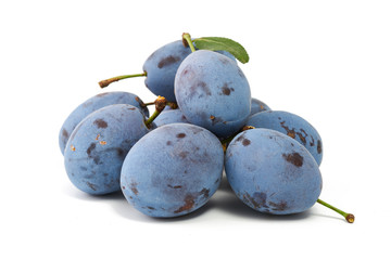 Organic plums from my garden