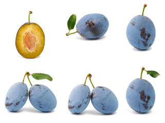 Organic plums from my garden