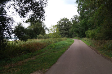 Fototapeta na wymiar cycle path on the Elbe 