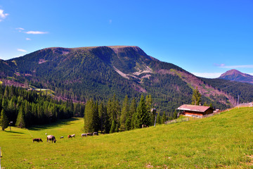 panorama in obereggen alto adige Italy