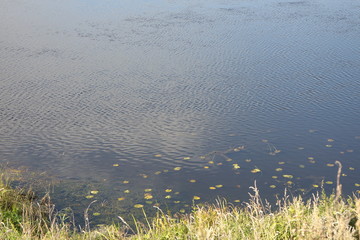 Fishing spot by the river on a summer day
