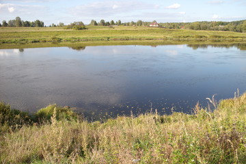 riverbank in the countryside on a summer day