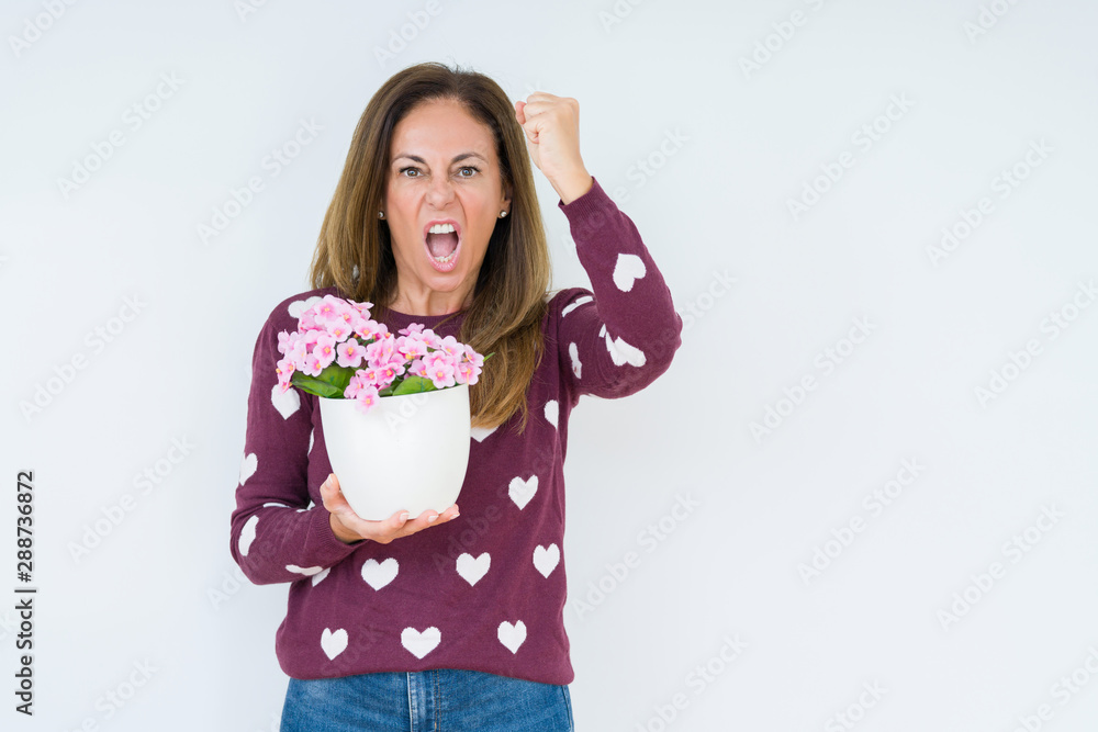 Wall mural middle age woman holding flowers pot plant over isolated background annoyed and frustrated shouting 