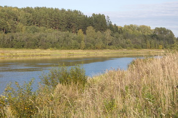 riverbank in the countryside on a summer day