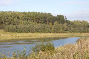 riverbank in the countryside on a summer day