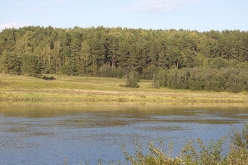 riverbank in the countryside on a summer day