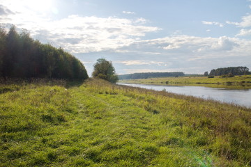 Obraz premium riverbank in the countryside on a summer day