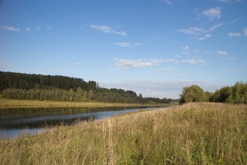 riverbank in the countryside on a summer day