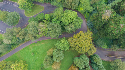 Aerial view on trees and footpath in park. Top view on forest 
