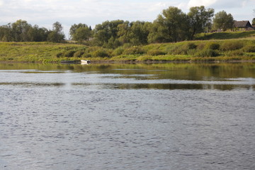 riverbank in the countryside on a summer day