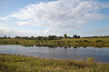 Fototapeta premium riverbank in the countryside on a summer day