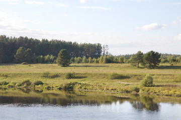riverbank in the countryside on a summer day
