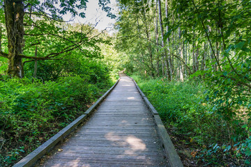 Nisqually Wetlands Boardwalk