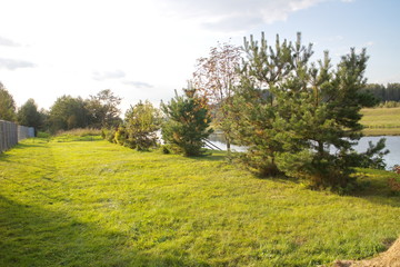 riverbank in the countryside on a summer day