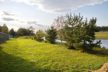 riverbank in the countryside on a summer day