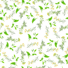 Seamless pattern with wild summer meadow on white background. Hand drawn watercolor illustration.