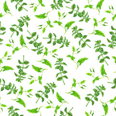 Seamless pattern with wild summer herbs and leaves on white background. Hand drawn watercolor illustration.