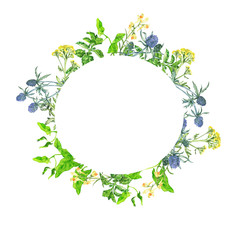 Summer wild flowers and green leaves frame isolated on white background. Hand drawn watercolor illustration.