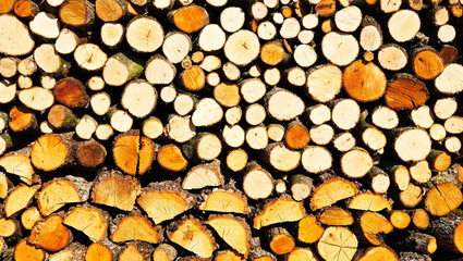 Pile of wood logs of different shapes, the section view forms an interesting repetitive pattern     