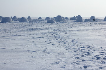 Winter landscape with ice igloo on white snow background.