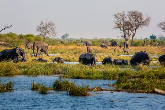 Caprivi Strip - Adobe Stock