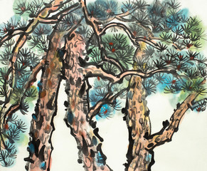 Fototapeta premium branchy pine trees