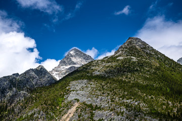 Fototapeta na wymiar Scenic view while hiking on the Great Glacier Trail, in Glacier National Park, British Columbia